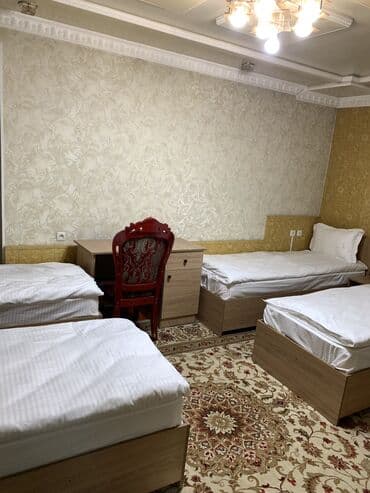 дом бостери: Bozui Hostel Ош шаарында! 🎉 АКЦИЯ! 🎉 🛏 8 жана 10 орундуу капсулдуу — 3