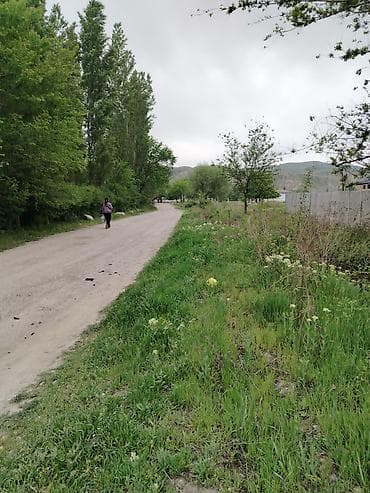 уч: 10 соток, Курулуш, Кызыл китеп — 3