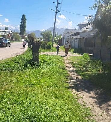 земельные участки в оше: 8 соток, Красная книга — 4