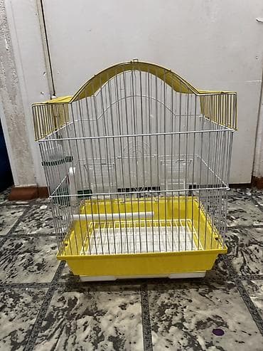 карлики кур: Защитные сетки от птиц — 2