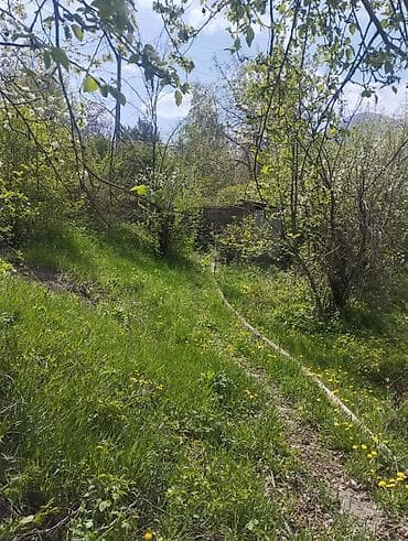Недвижимость: 7 соток — 1