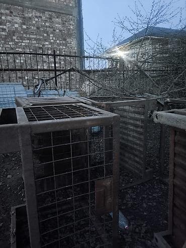 скупка пакетов: Куплю чёрный металл — 1