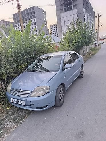 тайотта витс: Toyota Corolla: 2005 г., Автомат, Бензин, Седан — 1