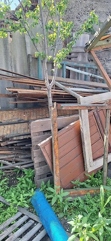 мешок дрова: Дрова — 1