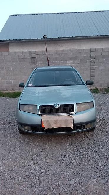 Транспорт: Skoda Fabia: 2003 г., Хетчбек — 5