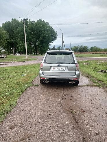 химия на авто: Subaru Forester: 2008 г., 2.5 л, Автомат, Газ, Универсал — 4