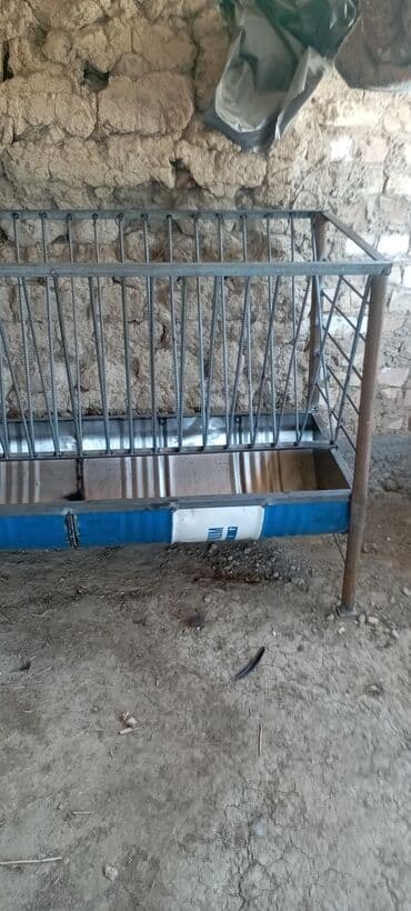 Койго акур (аштоо) длинна 1.80 м ширина 60см Цена. 7000 т сом каждый