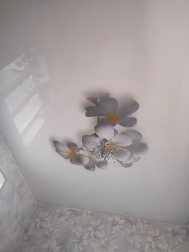 фикус большой: Натяжной потолок Глянцевое, Матовое, 3D потолки Гарантия, Бесплатная консультация, Бесплатный замер — 15