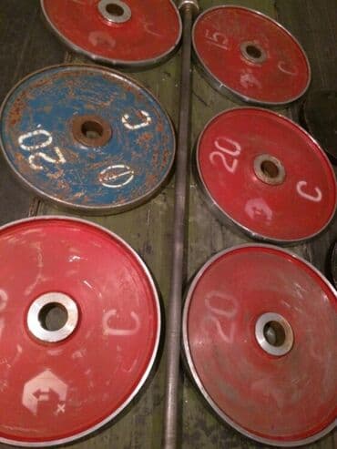 домашний турник 3 в 1: Куплю советские блины — 1