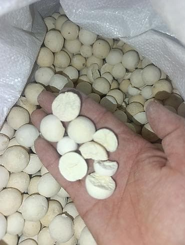 оптом товар: Сынык куруттар сатылат — 1