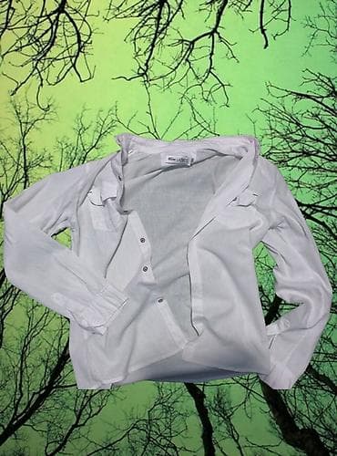 Эркектер кийими: Эркектердин көйнөгү, S, M, Lacoste, Жаңы, түсү - Ак — 3