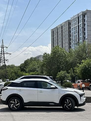 машина tesla: BYD : 2022 г., Электромобиль, Кроссовер — 5