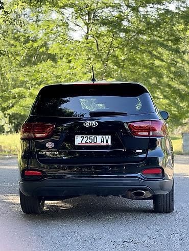 Kia Sorento: 2019 г., 2.4 л, Автомат, Бензин, Кроссовер — 6