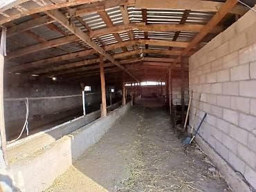 Коммерческая недвижимость: Farm КРС, 18 соток, Электричество — 2