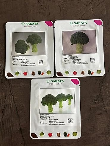 Промышленная химия: Семена овощей: Брокколи — 8