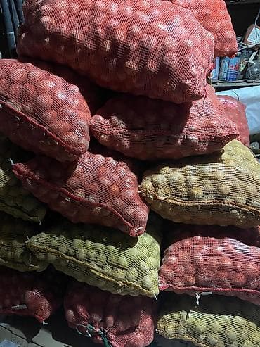 купить мешки для картофеля: Картошка Джелли — 3