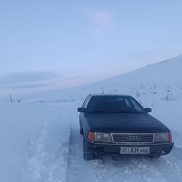 Audi: Audi 100: 1989 г., Механика, Хетчбек — 4