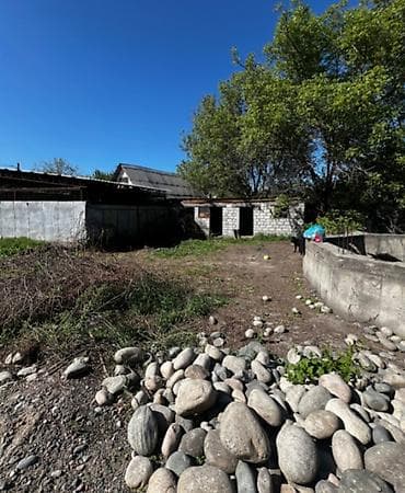 Жер тилкелери: 5 соток, Кызыл китеп — 4