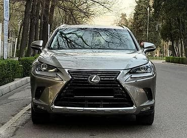 аренда bmw x7: Lexus NX: 2019 г., 2 л, Автомат, Бензин, Кроссовер — 1