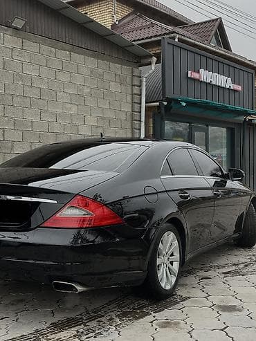 банан водный: Mercedes-Benz CLS-Class: 2008 г., 3 л, Автомат, Бензин, Седан — 5