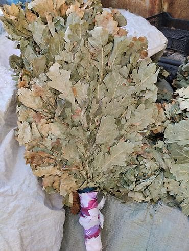 Радиаторлор, батареялар: Продаю веники — 1