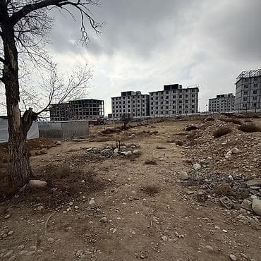 участок чоң сары ой: 10 соток, Кызыл китеп — 4