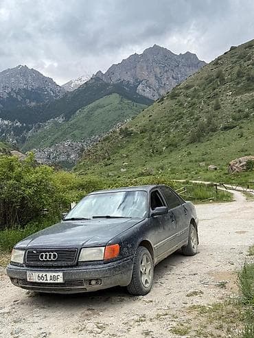 купить мерс с: Audi 100: 1992 г., 2.3 л, Механика, Бензин, Седан — 1