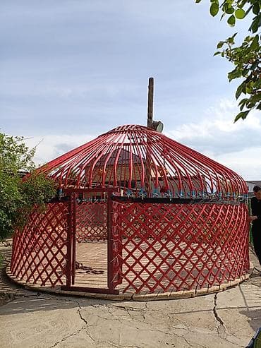 Юрта кыргыз Боз уй сатылат 6 канат 85 баш абалы жакшы баасы 250 000мин — 6