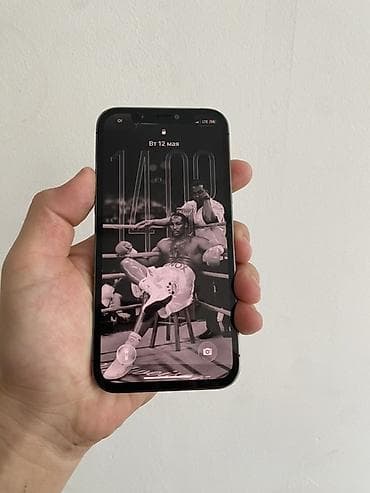 Apple iPhone: IPhone 12 Pro, 128 ГБ, Графит, Зарядное устройство, Защитное стекло, 76 % — 2
