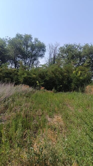 полдом: Полдома, 48 м², 3 комнаты, Собственник, Старый ремонт — 8