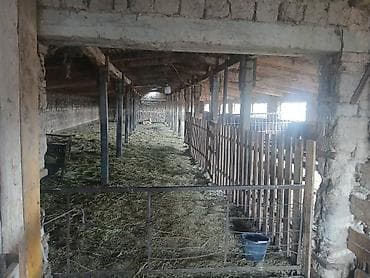 участок старый талчок: 30 соток, Для бизнеса, Красная книга — 6