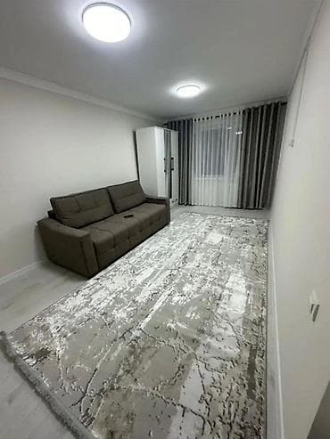 шакал: 1 комната, 30 м², 1 этаж — 1