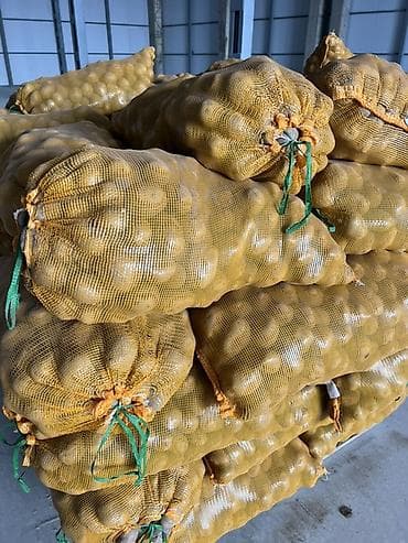 мешки для картофеля: Картошка Оптом, В розницу — 3