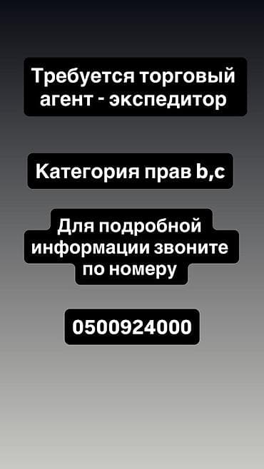 администратор в школу: Вакансия: торговый агент‑экспедитор. Требования: - наличие — 1