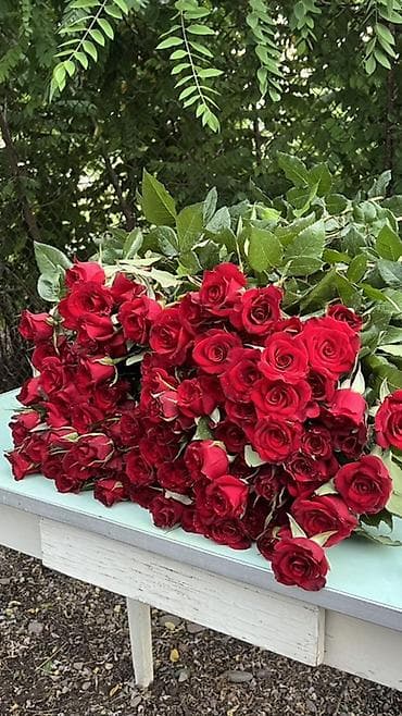рыбы купить: Оптом и розницу от 12- до 20 сом. Мы находимся Московский район село — 3