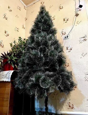 новогодние елки купить в бишкеке: Как новая.
Высота 1.8м.
Находится в Сокулуке
без торга — 2