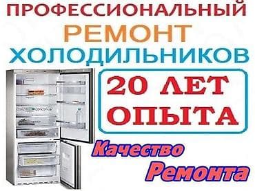 Ремонт техники: Мастера по ремонту холодильников. Ремонт холодильников и морозильников — 1