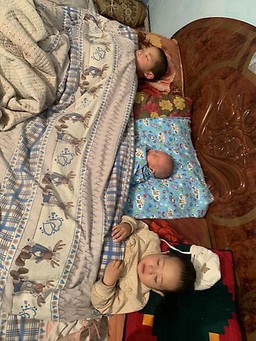 Детское постельное бельё с милым рисунком лосей - Комплект