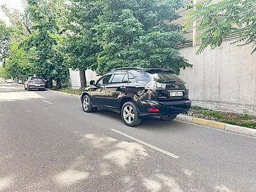 подножка лексус: Lexus RX: 2007 г., 3.5 л, Автомат, Кроссовер — 3