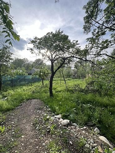 с бизнесом: 4 соток, Для сельского хозяйства, Красная книга — 3