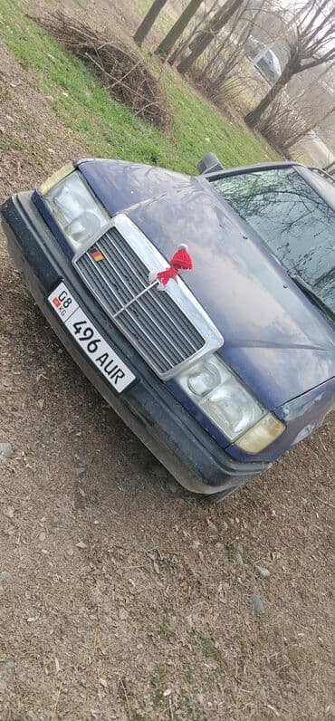 Mercedes-Benz W124: 1989 г., 2.3 л, Механика, Бензин, Универсал