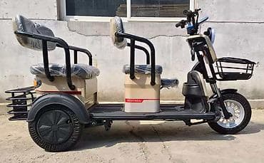 трёхколёсный электро: Электрический трёхколёсный скутер-пассажирский (2+1 места) - — 2