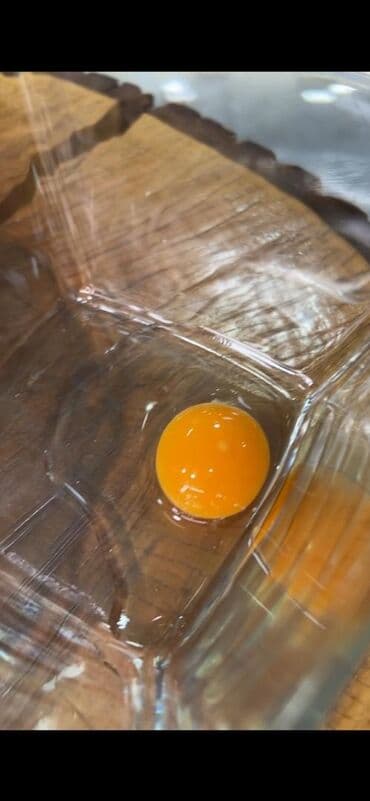 оптом курут: ✅ Бөдөнө жумуртка ✅ Өзүбүздүн эко формадан☝️ ❗Минималка 10 — 2