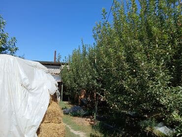 срочно продаю дом район кызыл аскер: Продаю дом,с участком 5 сот, Район ленинский,Ж/М Ала Тоо 2 размер — 8