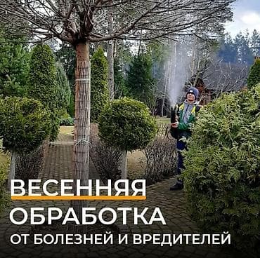 macbook m1 max: Обработка плодовых деревьев .
Обработка хвойных деревьев — 1