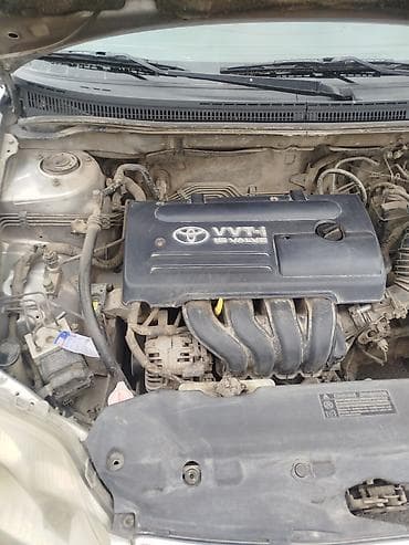 corolla: Toyota Corolla: 2004 г., 1.6 л, Механика, Бензин, Универсал — 1