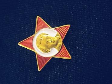 серебряный крест: МЕГА-ЛОТ СССР: 137 значков Октябренок + Ленин (Состояние LUX) — 2