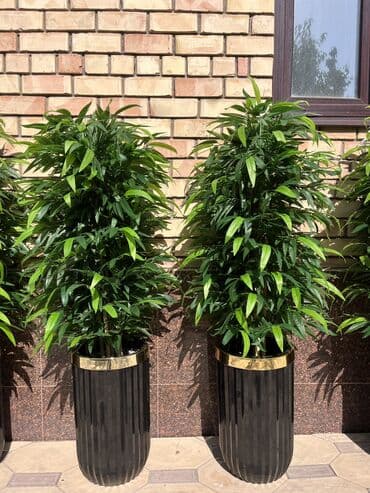 шкаф для одежды новый: 🌿 Мы — Mayram Decor KG, ваш надежный партнёр в создании эффектных и — 20