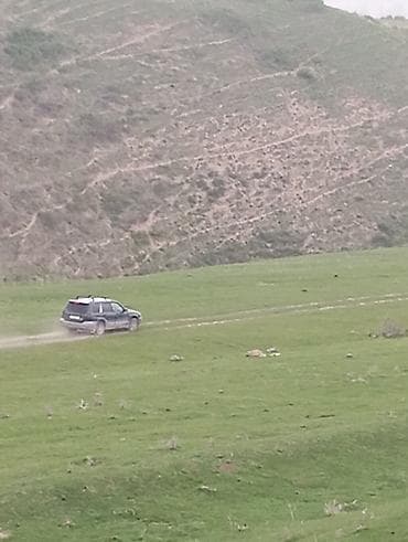 forester sg9: Subaru Forester: 2002 г., 2 л, Автомат, Бензин, Кроссовер — 7