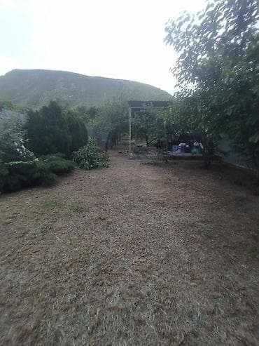 садовники: Профессиональные услуги по уходу за садом и огородом 

 вотсапп — 5